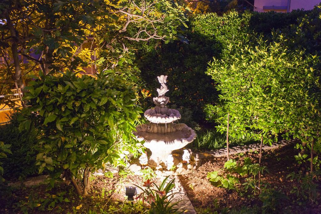 Villa Neda マカルスカ エクステリア 写真